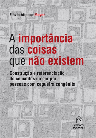 A importância das coisas que não existem (Ebook)